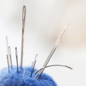 Darning Needles