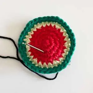 Watermelon Granny Square seeds 1