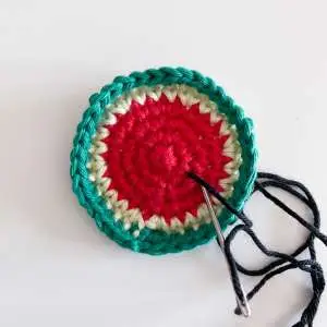 Watermelon Granny Square seeds 2