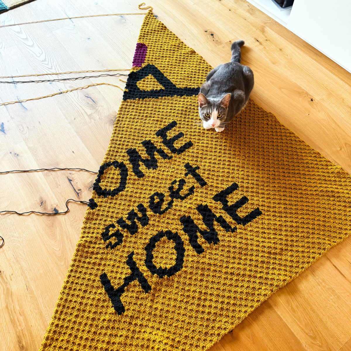 Home Sweet Home Crochet Blanket - DIGITAL PATTERN | Couch Blanket | Crochet Throw | Crochet Winter | Crochet Hug | Crocheted Blanket - Image 4